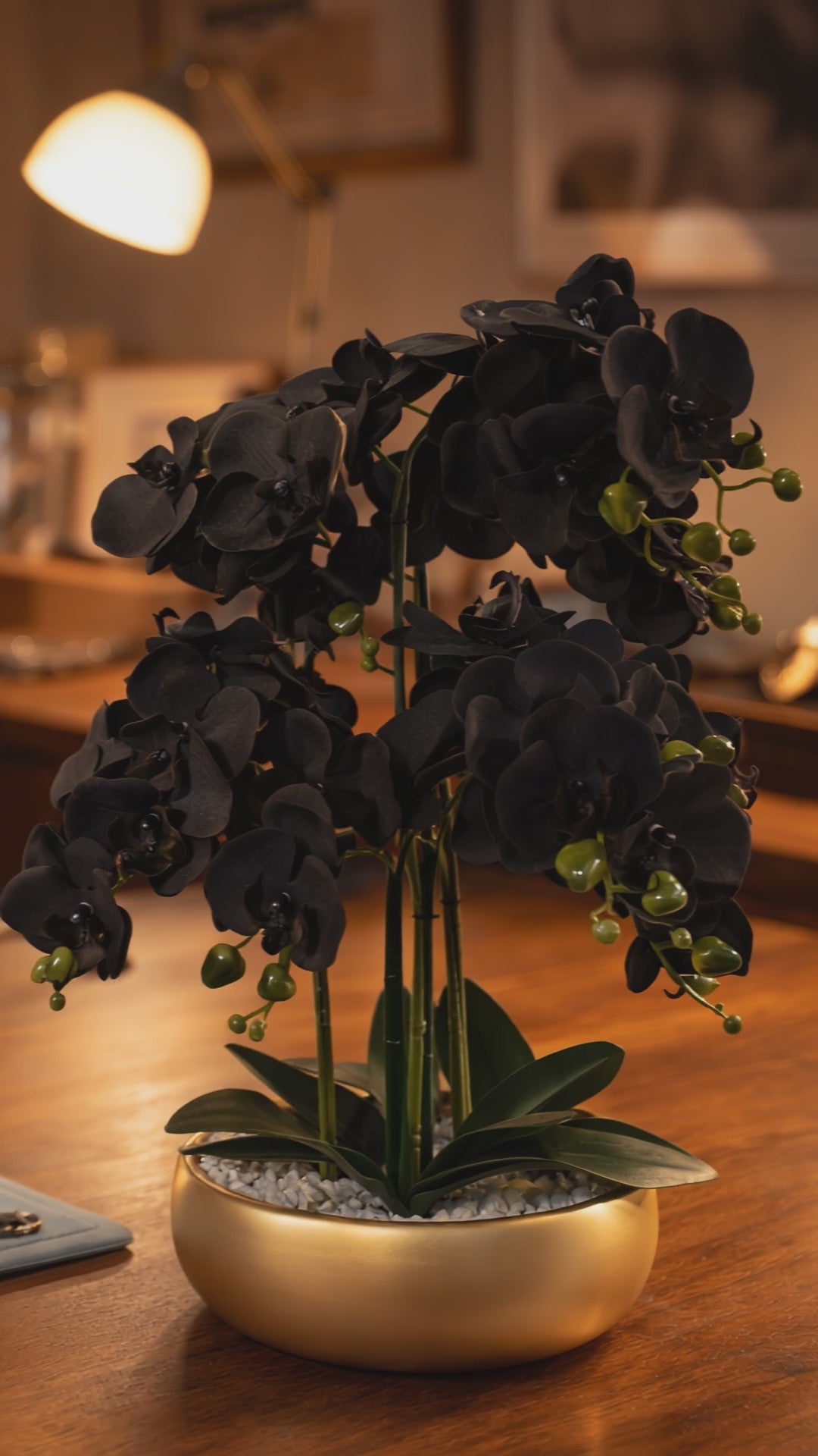 Load video: 60cm Orchid Artificial Black - Gold Ceramic Planter