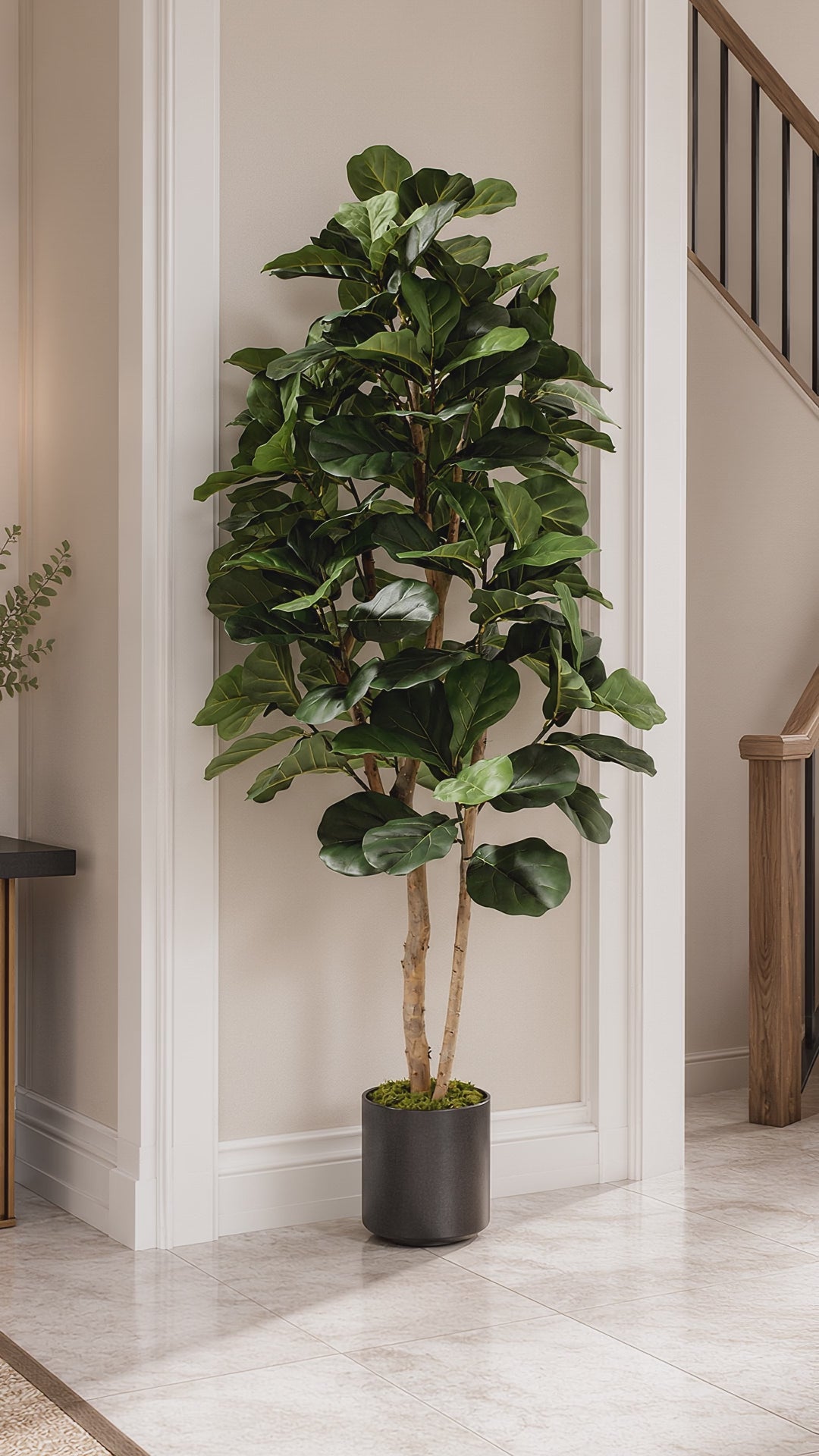 Load video: 180cm Artificial Fiddle Fig Deluxe Tree