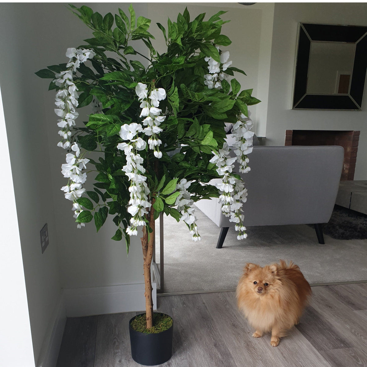 130cm Luxury Artificial Wisteria Tree White Flowers - Premium Range – image 12